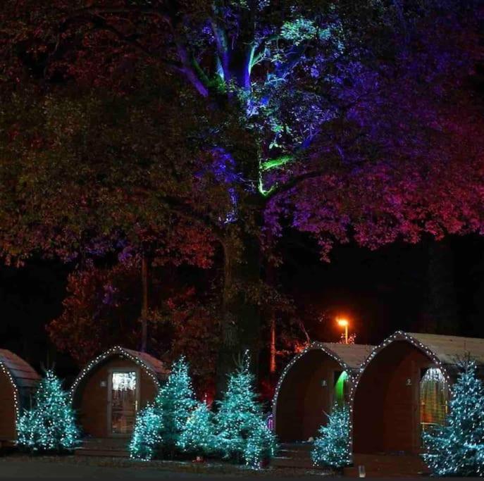 New Forest Lodge - 194 No Pets ฟอร์ดิงบริดจ์ ภายนอก รูปภาพ