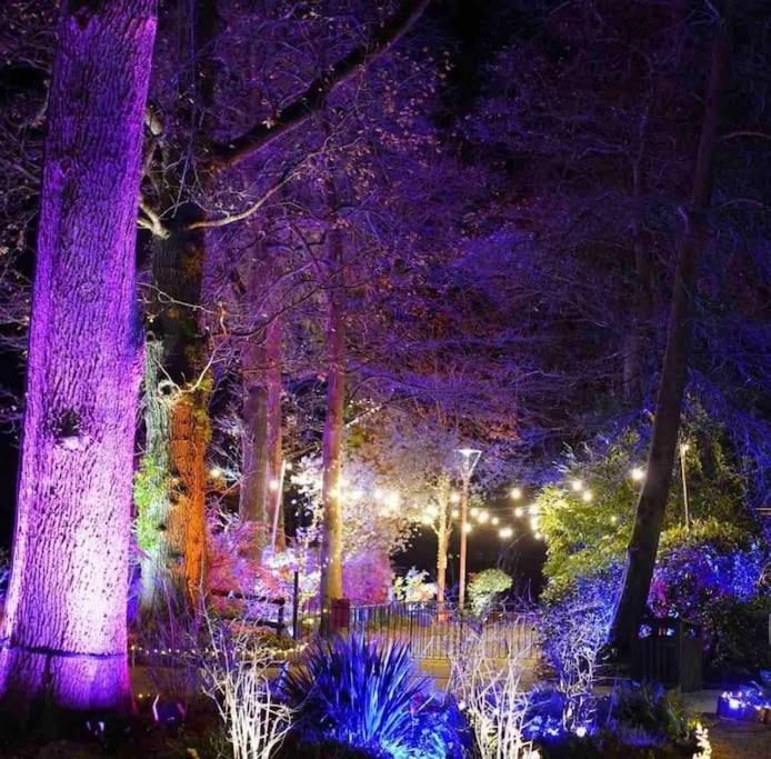 New Forest Lodge - 194 No Pets ฟอร์ดิงบริดจ์ ภายนอก รูปภาพ